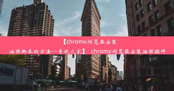 【chrome浏览器安装油猴脚本的方法—系统之家】_chrome浏览器安装油猴插件