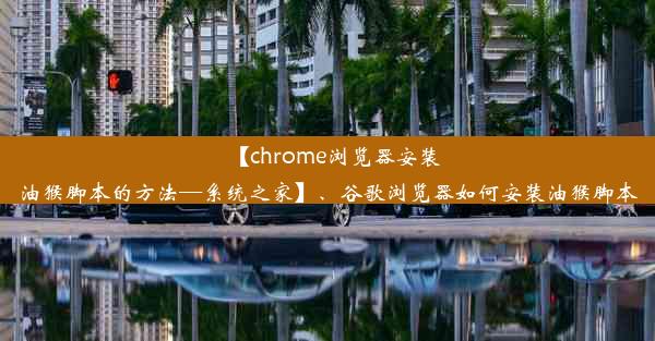 【chrome浏览器安装油猴脚本的方法—系统之家】、谷歌浏览器如何安装油猴脚本