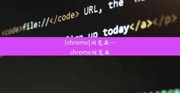 [chrome]浏览器—chrome浏览器