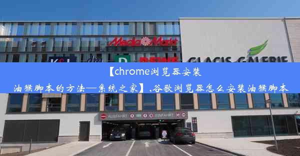 【chrome浏览器安装油猴脚本的方法—系统之家】,谷歌浏览器怎么安装油猴脚本