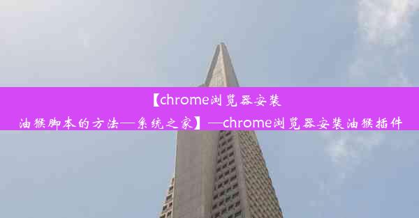 【chrome浏览器安装油猴脚本的方法—系统之家】—chrome浏览器安装油猴插件