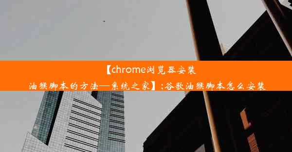 【chrome浏览器安装油猴脚本的方法—系统之家】;谷歌油猴脚本怎么安装