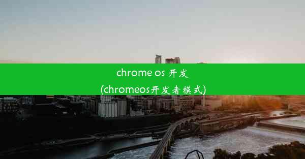 chrome os 开发(chromeos开发者模式)