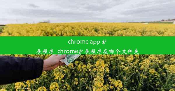 chrome app 扩展程序_chrome扩展程序在哪个文件夹