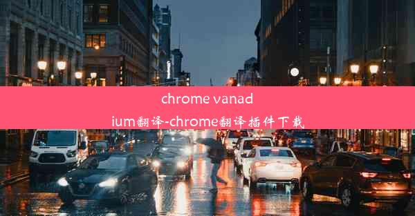 chrome vanadium翻译-chrome翻译插件下载