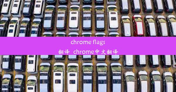 chrome flags翻译_chrome中文翻译