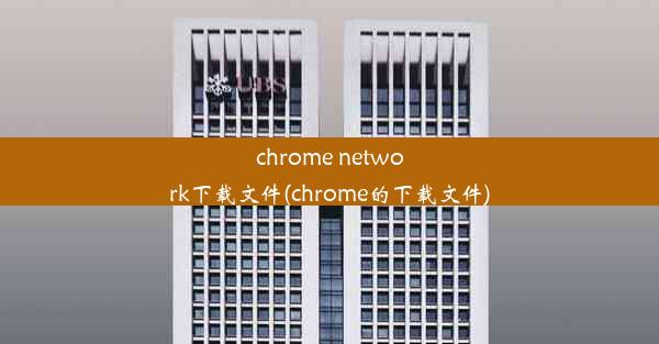 chrome network下载文件(chrome的下载文件)