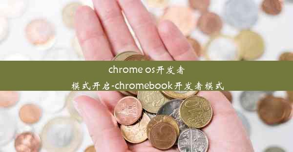 chrome os开发者模式开启-chromebook开发者模式