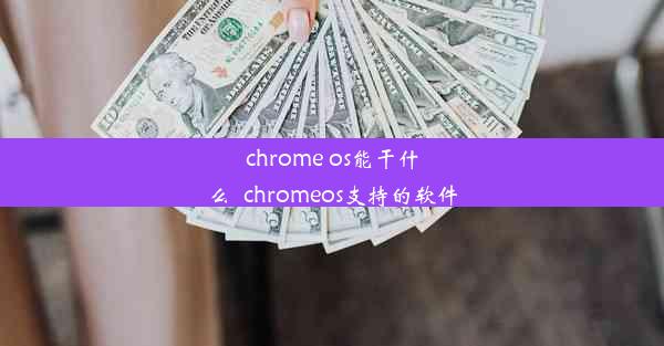 chrome os能干什么_chromeos支持的软件