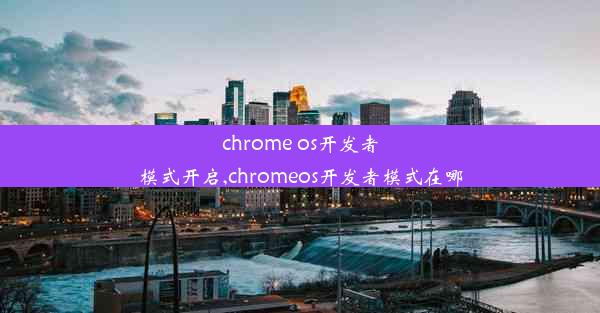 chrome os开发者模式开启,chromeos开发者模式在哪