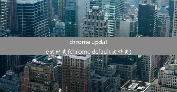 chrome update文件夹(chrome default文件夹)