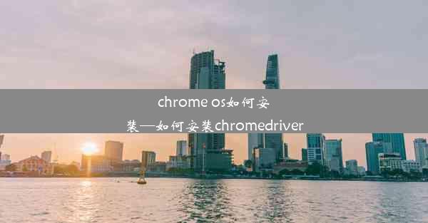 chrome os如何安装—如何安装chromedriver