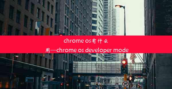 chrome os有什么用—chrome os developer mode