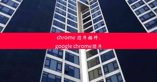 chrome 图片插件、google chrome图片