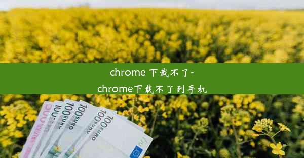 chrome 下载不了-chrome下载不了到手机