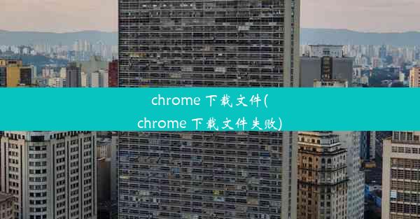 chrome 下载文件(chrome 下载文件失败)