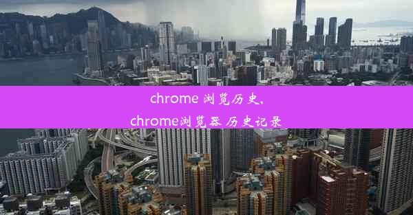 chrome 浏览历史,chrome浏览器 历史记录