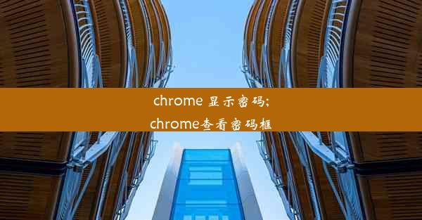 chrome 显示密码;chrome查看密码框