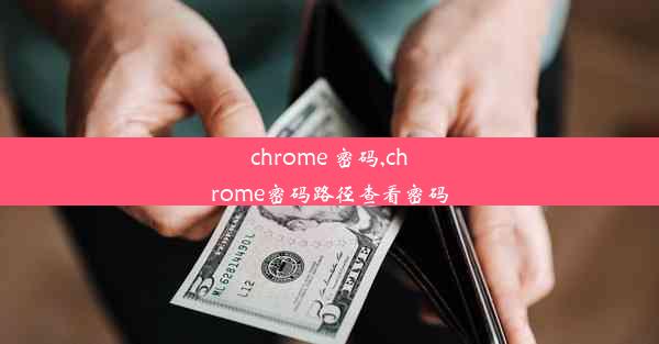 chrome 密码,chrome密码路径查看密码