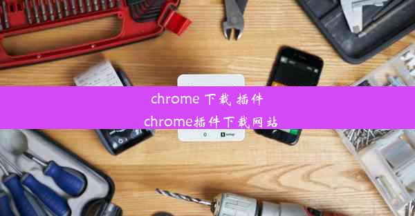 chrome 下载 插件_chrome插件下载网站