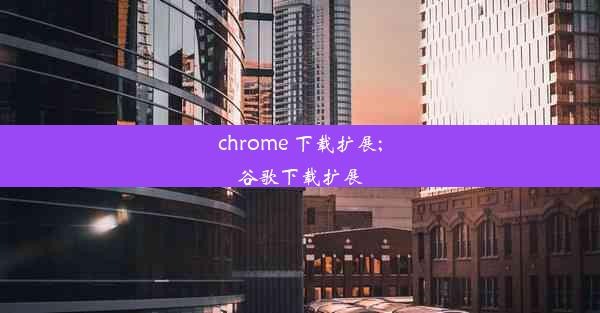 chrome 下载扩展;谷歌下载扩展