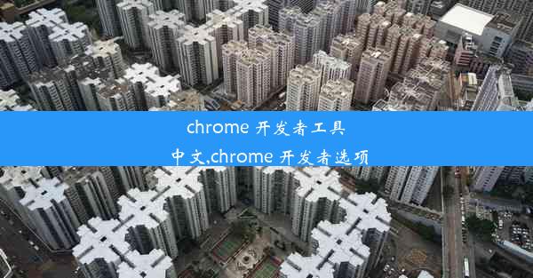 chrome 开发者工具 中文,chrome 开发者选项