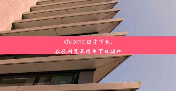 chrome 图片下载,谷歌浏览器图片下载插件