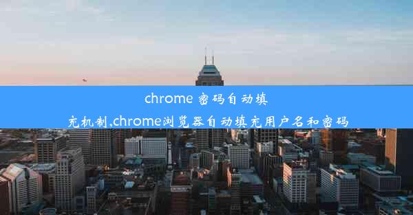 chrome 密码自动填充机制,chrome浏览器自动填充用户名和密码