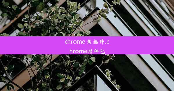 chrome 装插件,chrome插件包