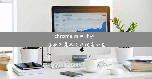 chrome 图片搜索_谷歌浏览器图片搜索功能