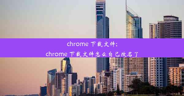 chrome 下载文件;chrome 下载文件怎么自己改名了