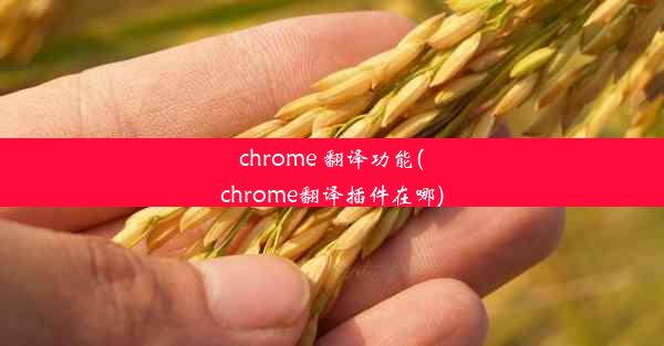 chrome 翻译功能(chrome翻译插件在哪)