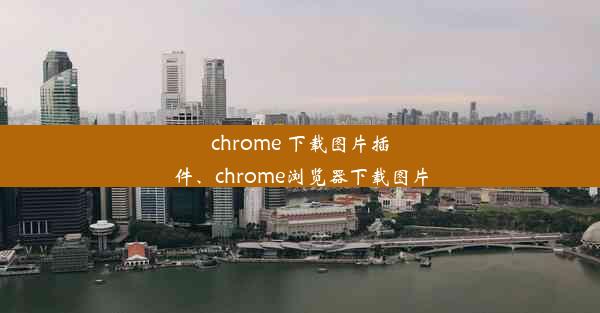 chrome 下载图片插件、chrome浏览器下载图片