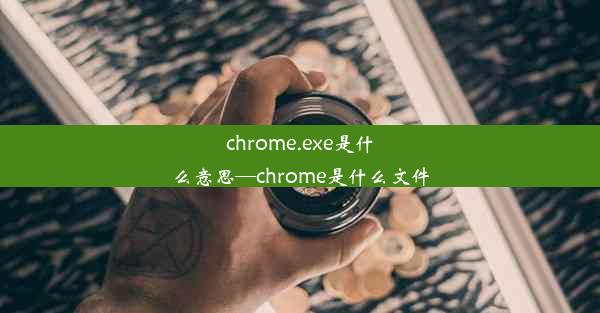 chrome.exe是什么意思—chrome是什么文件