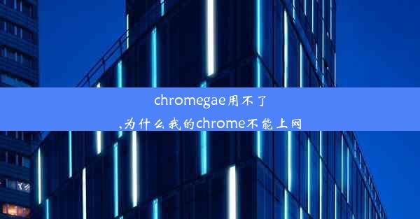 chromegae用不了,为什么我的chrome不能上网