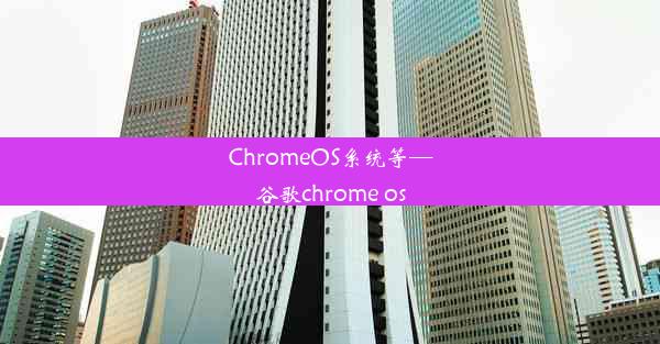 ChromeOS系统等—谷歌chrome os