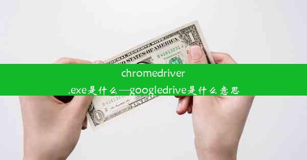 chromedriver.exe是什么—googledrive是什么意思