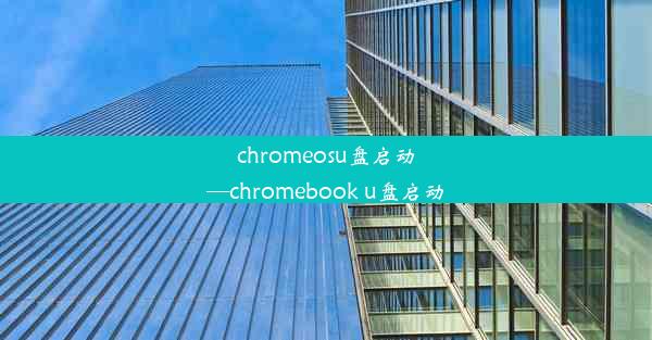 chromeosu盘启动—chromebook u盘启动