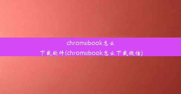 chromebook怎么下载软件(chromebook怎么下载微信)