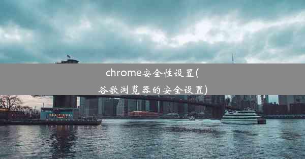 chrome安全性设置(谷歌浏览器的安全设置)