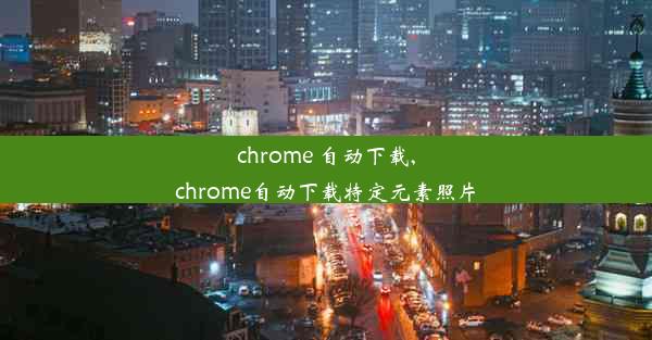 chrome 自动下载,chrome自动下载特定元素照片