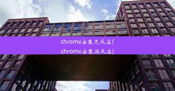 chrome安装无反应(chrome安装没反应)