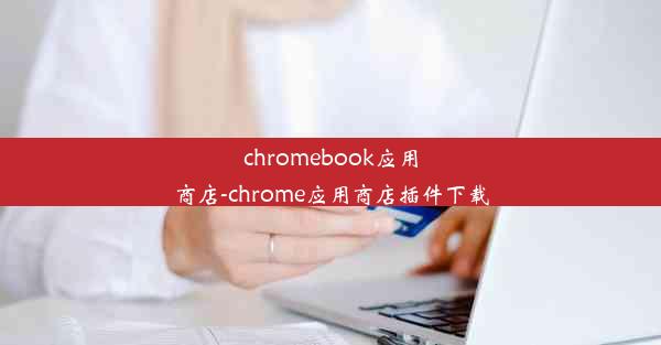 chromebook应用商店-chrome应用商店插件下载