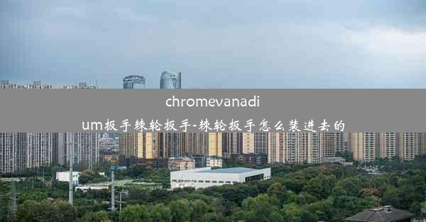 chromevanadium扳手棘轮扳手-棘轮扳手怎么装进去的