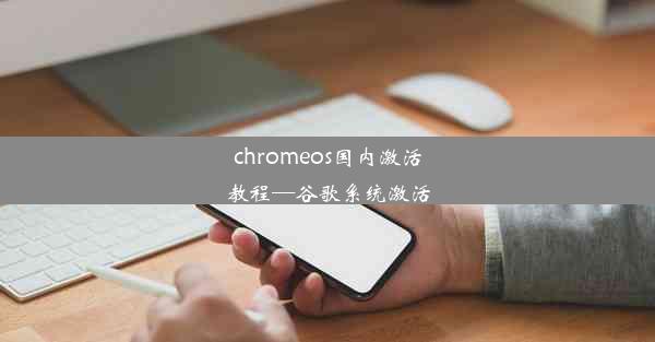 chromeos国内激活教程—谷歌系统激活