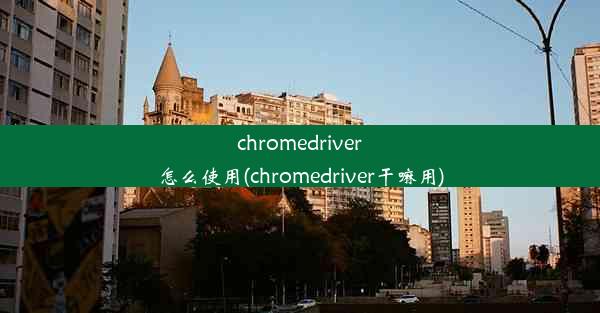 chromedriver怎么使用(chromedriver干嘛用)