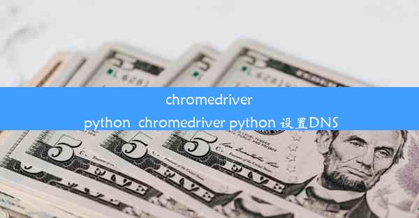 chromedriver python_chromedriver python 设置DNS