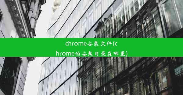 chrome安装文件(chrome的安装目录在哪里)