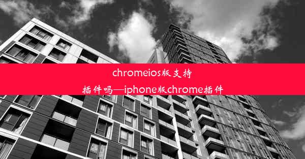 chromeios版支持插件吗—iphone版chrome插件