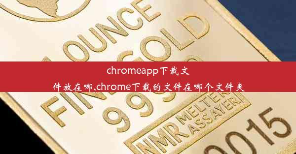 chromeapp下载文件放在哪,chrome下载的文件在哪个文件夹